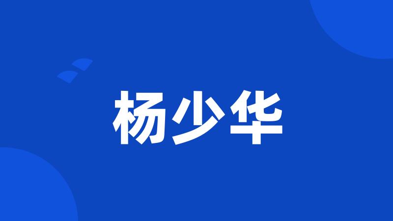杨少华