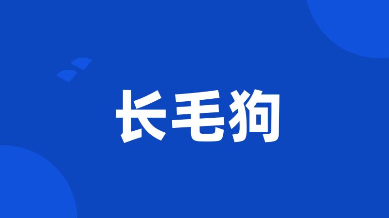 长毛狗