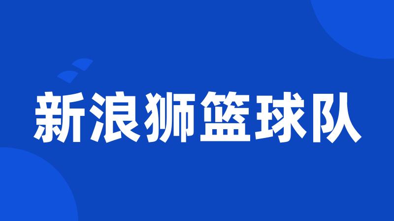 新浪狮篮球队