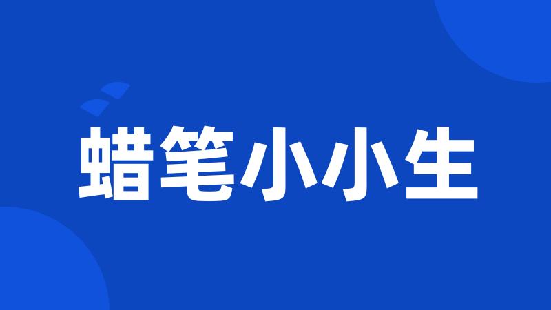 蜡笔小小生