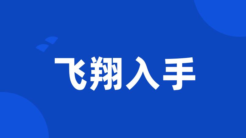 飞翔入手