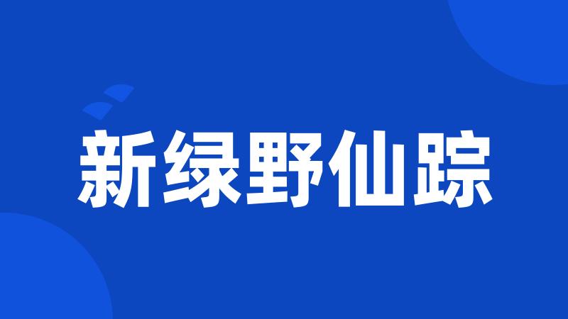 新绿野仙踪