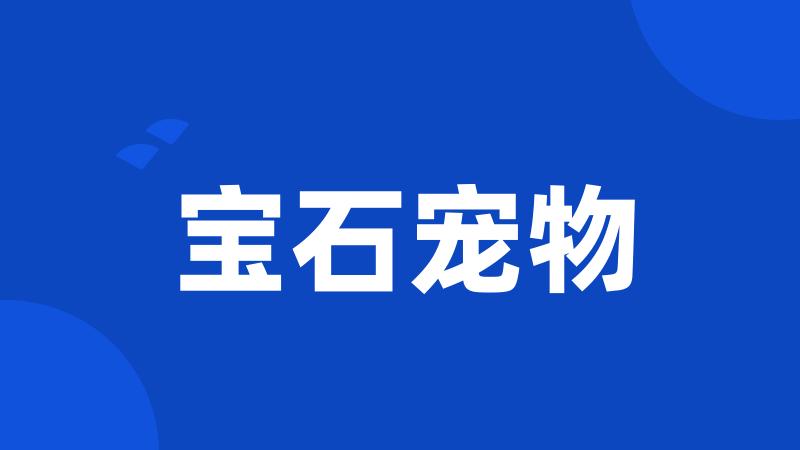 宝石宠物