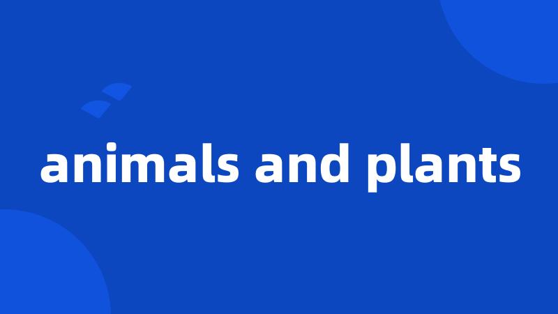 animals and plants