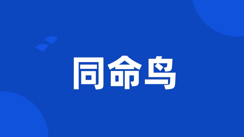 同命鸟