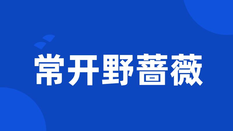 常开野蔷薇