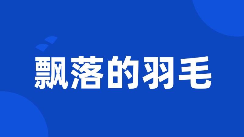 飘落的羽毛