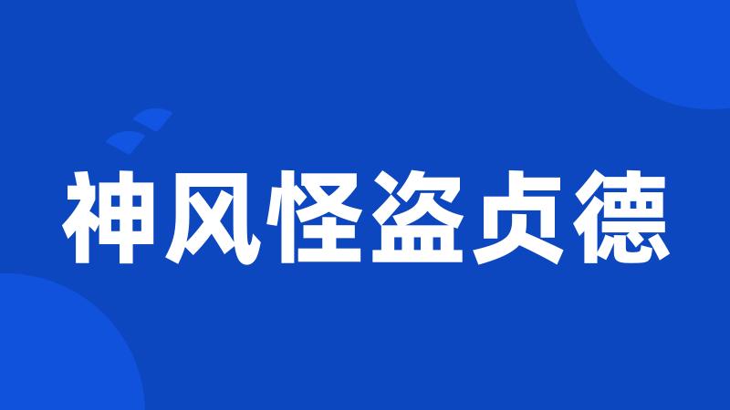神风怪盗贞德