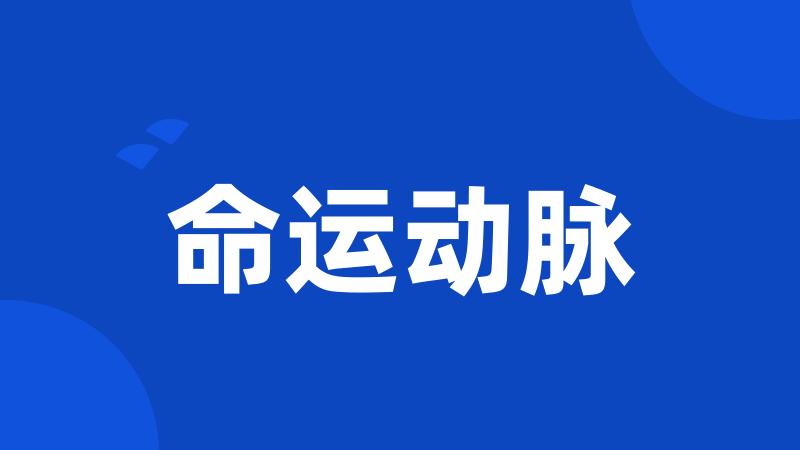 命运动脉