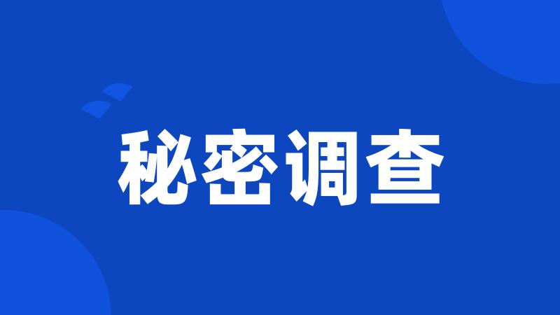 秘密调查