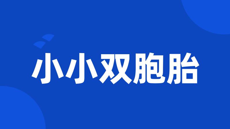 小小双胞胎