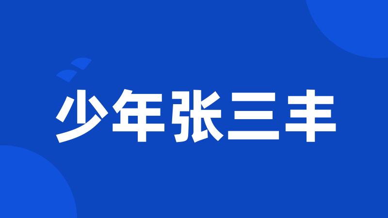 少年张三丰