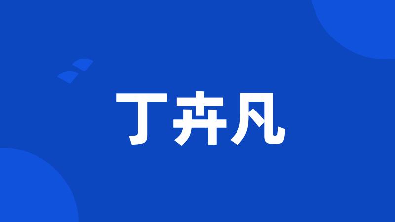 丁卉凡