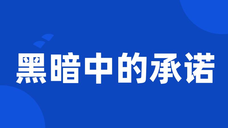 黑暗中的承诺