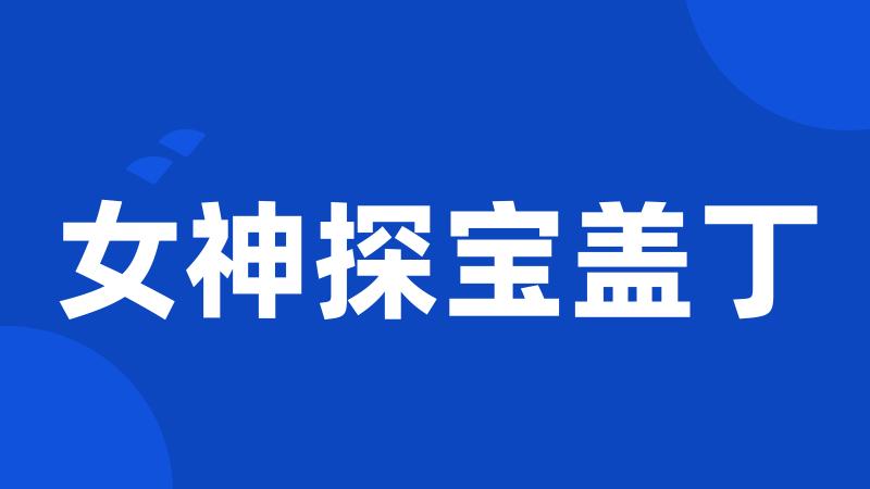 女神探宝盖丁