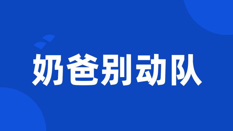 奶爸别动队