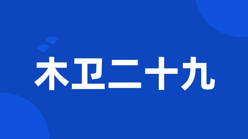 木卫二十九