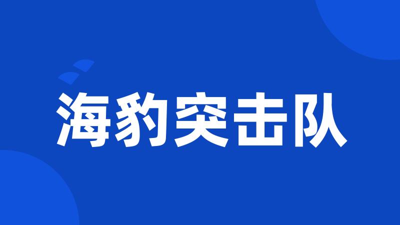 海豹突击队