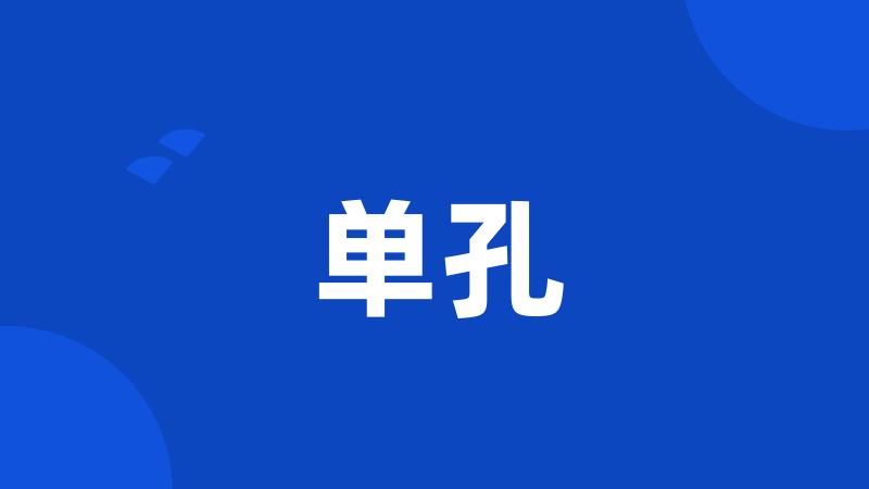 单孔