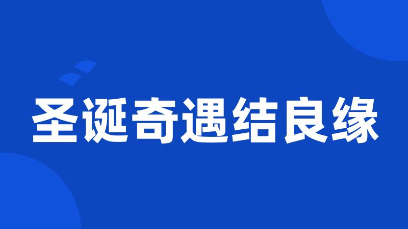 圣诞奇遇结良缘