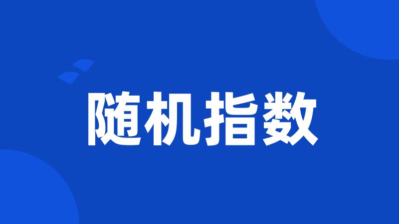 随机指数