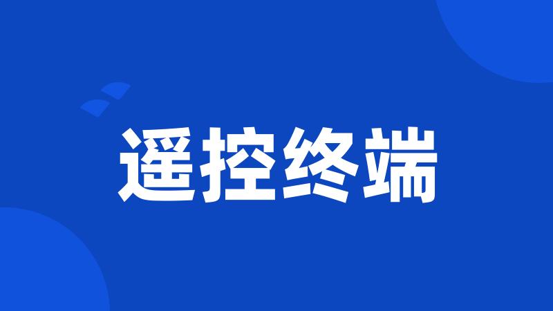 遥控终端