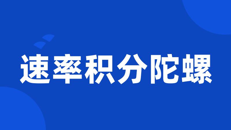 速率积分陀螺