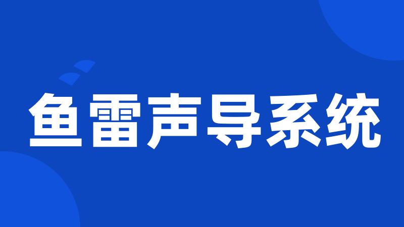 鱼雷声导系统