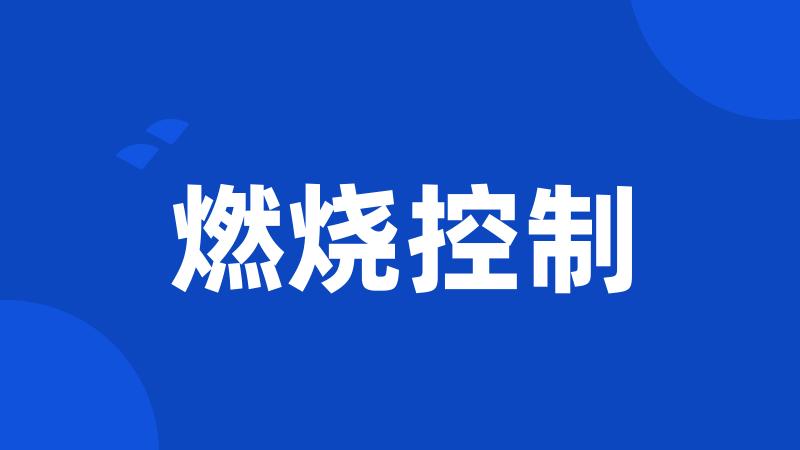 燃烧控制