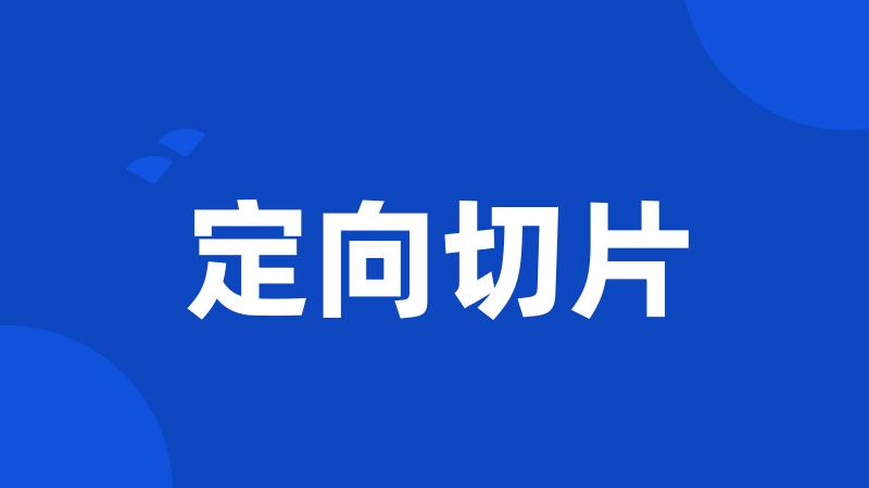 定向切片