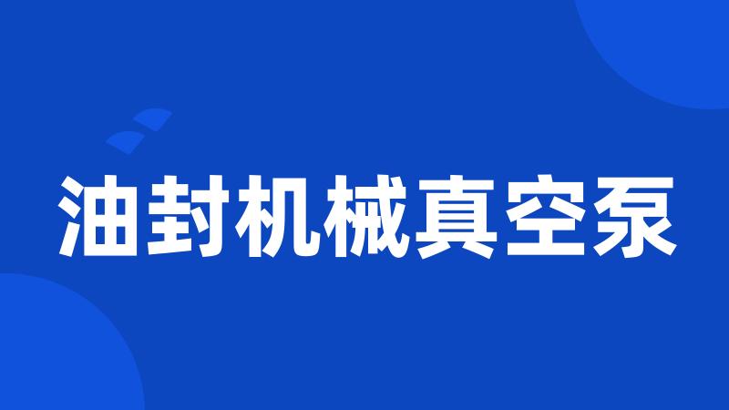 油封机械真空泵