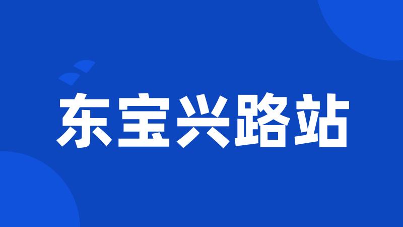 东宝兴路站