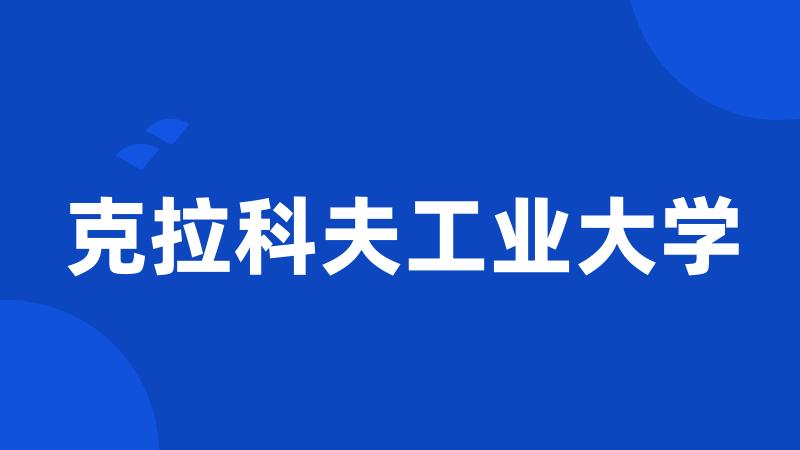 克拉科夫工业大学