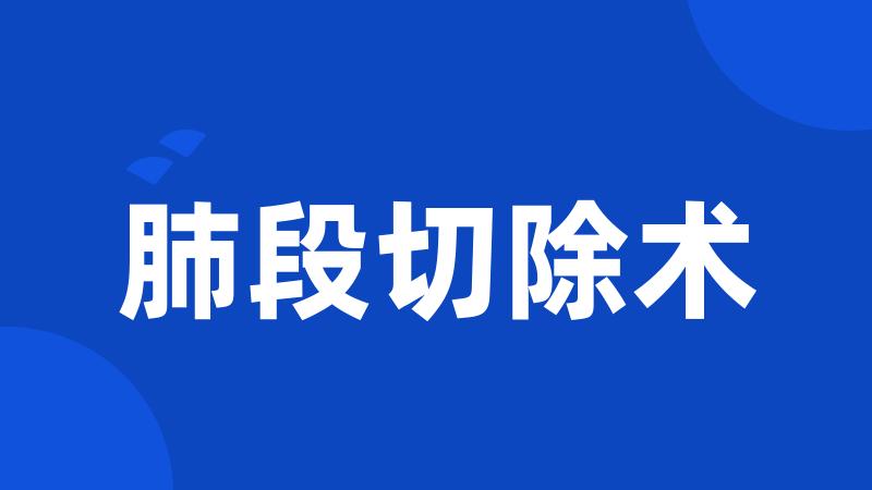 肺段切除术