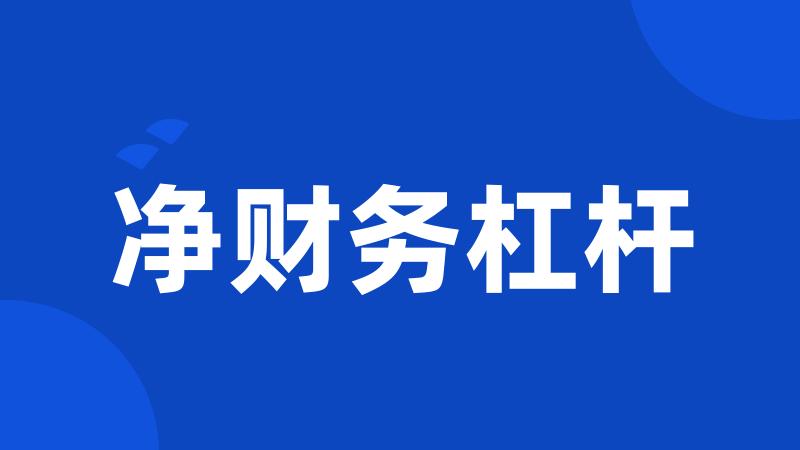 净财务杠杆
