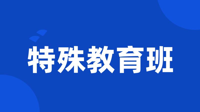 特殊教育班