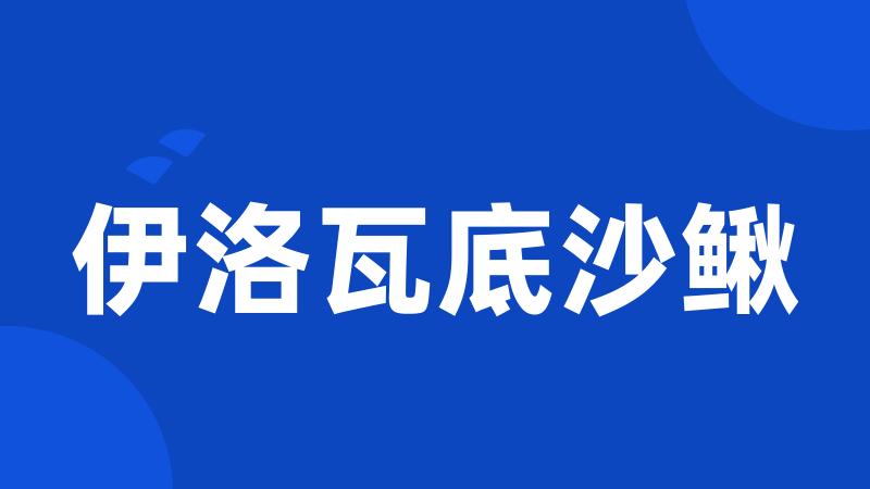 伊洛瓦底沙鳅