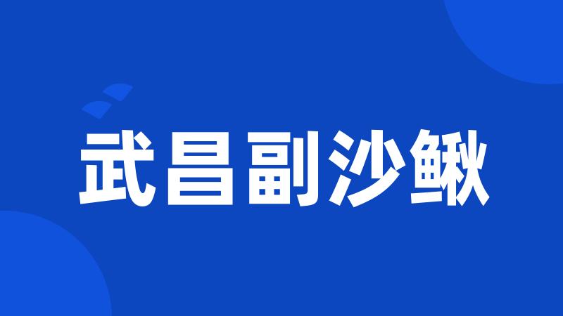 武昌副沙鳅