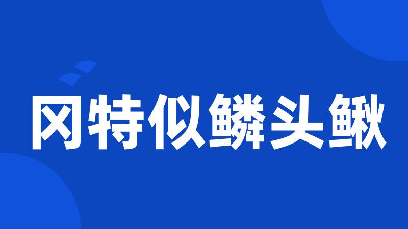 冈特似鳞头鳅