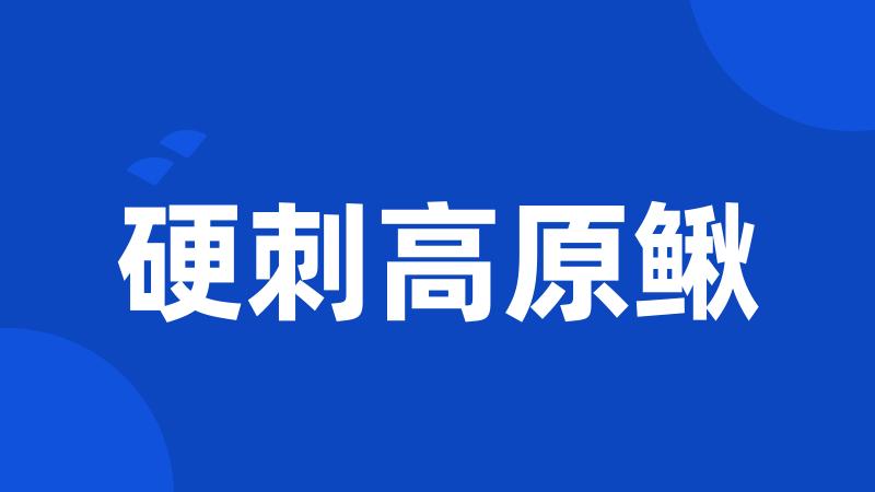 硬刺高原鳅