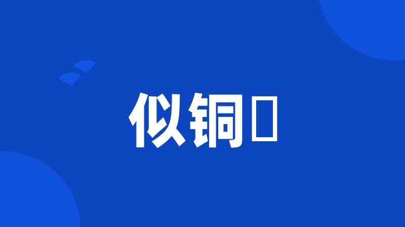 似铜鮈