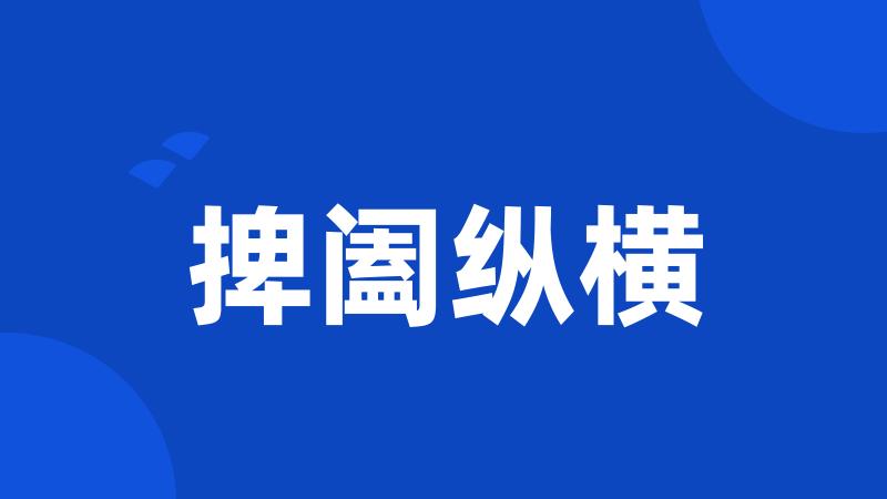 捭阖纵横
