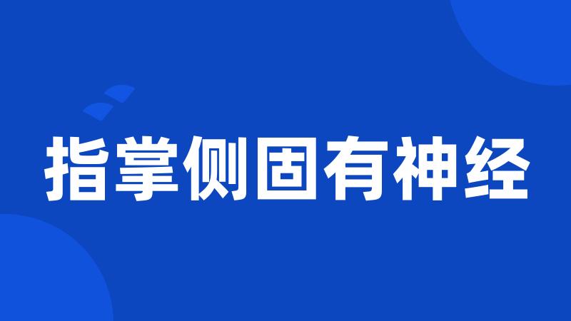 指掌侧固有神经