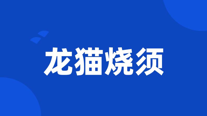 龙猫烧须
