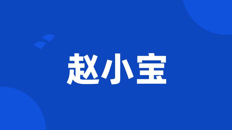 赵小宝