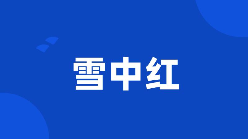 雪中红