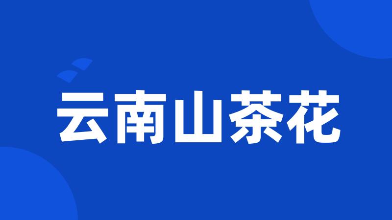 云南山茶花