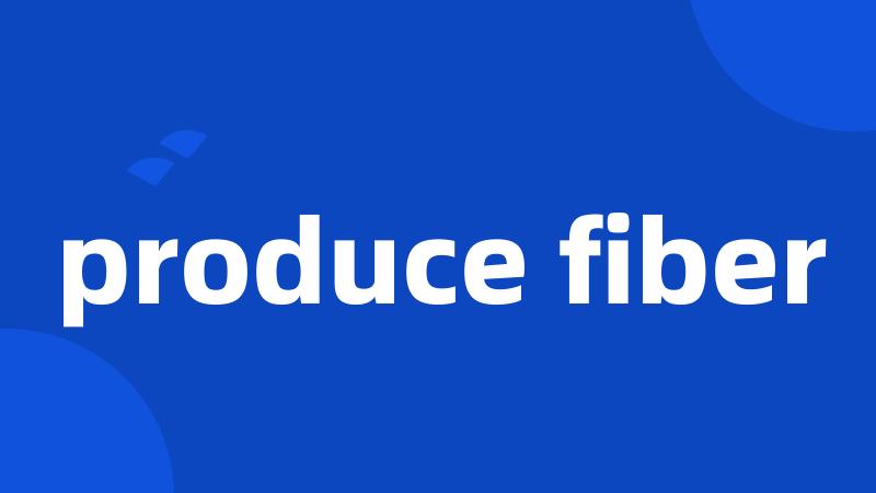 produce fiber