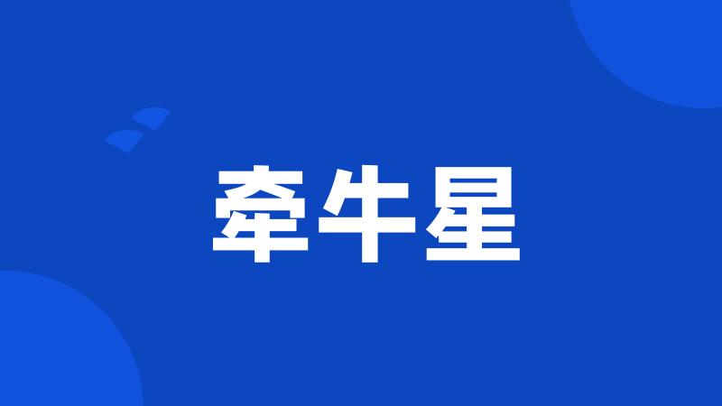 牵牛星