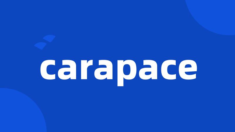 carapace